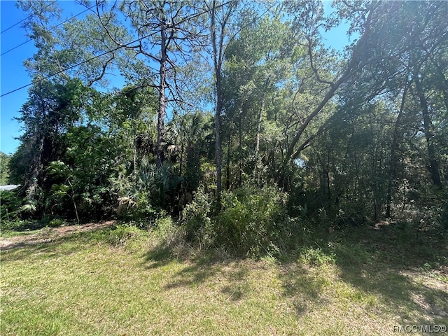 9800 W Sandra St, Crystal River FL, 34428 land for sale