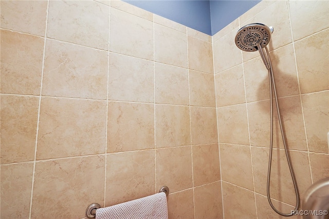 interior details with tiled shower