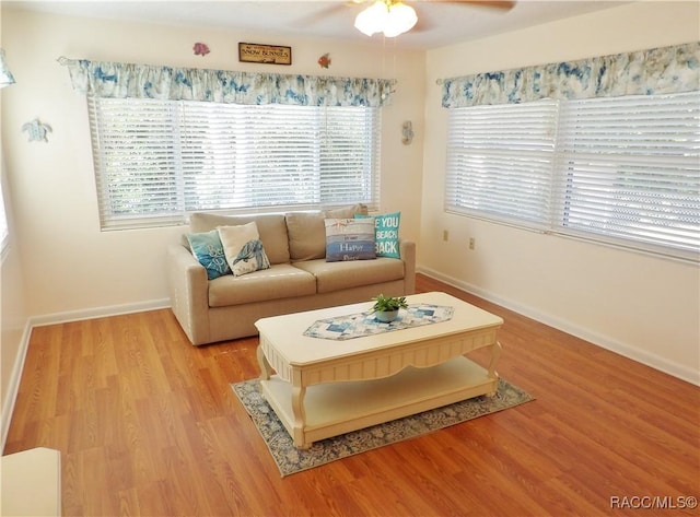 living room with ceiling fan and hardwood / wood-style floors