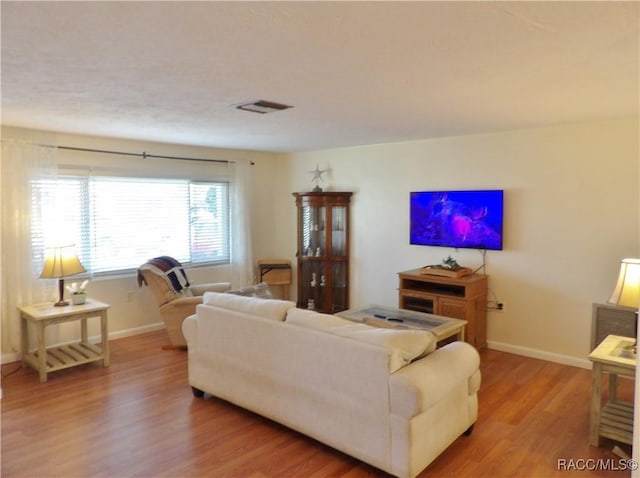 living room featuring hardwood / wood-style floors