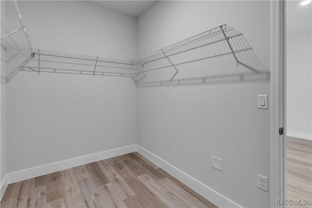 spacious closet with light wood-type flooring