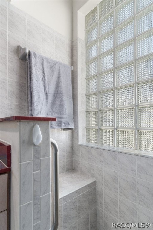 bathroom featuring plenty of natural light and walk in shower