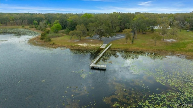 11707 SE 101st Court Rd, Belleview, FL 34420 - bird's eye view of a nearby body of water