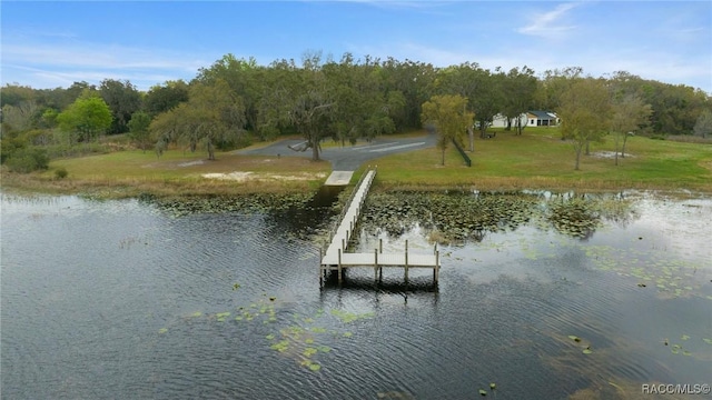 11707 SE 101st Court Rd, Belleview, FL 34420 - dock area with a water view and a yard