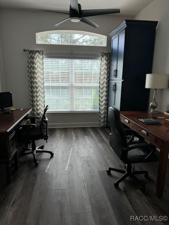 office with ceiling fan, lofted ceiling, and dark wood-type flooring