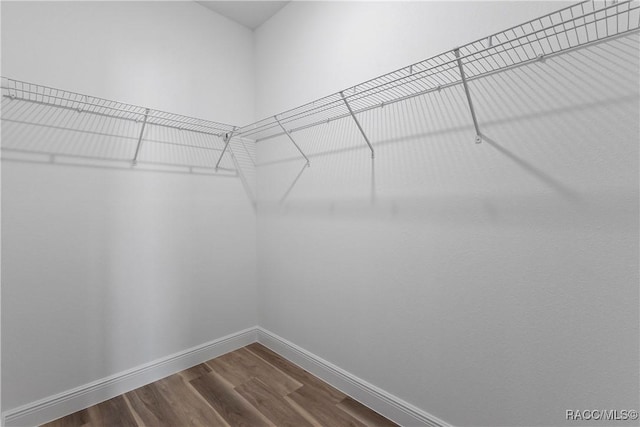 1413 W America Pl, Citrus Springs, FL 34434 - spacious closet with dark wood-style floors