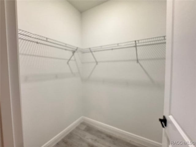 7549 N Santos Dr, Citrus Springs, FL 34434 - walk in closet with wood finished floors