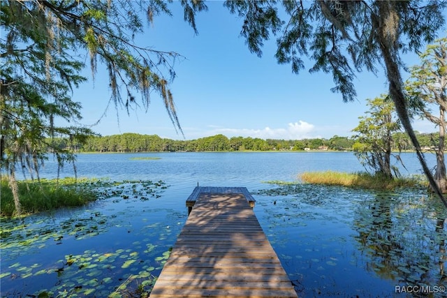 5870 N Briarcliff Ter, Hernando, FL 34442 - photo 41