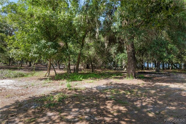 5870 N Briarcliff Ter, Hernando, FL 34442 - photo 46