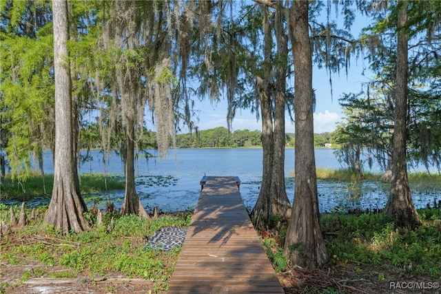5870 N Briarcliff Ter, Hernando, FL 34442 - photo 40
