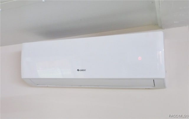 details with a wall mounted AC