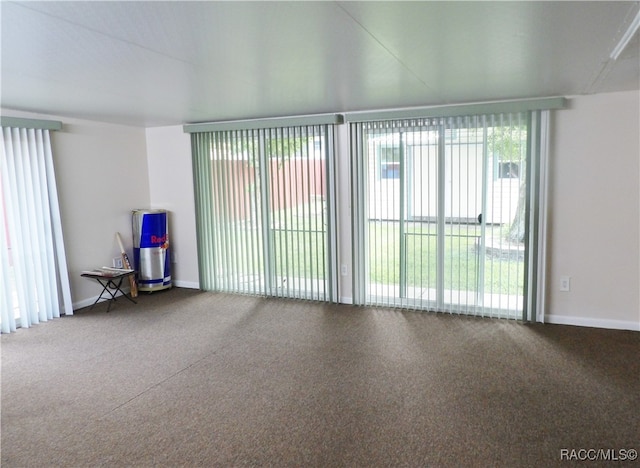 unfurnished room with carpet