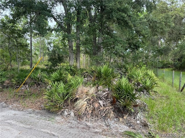 00 SW 103rd Ct, Cedar Key, FL 32625