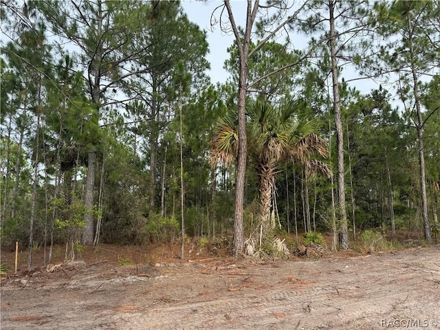 00 SW 103rd Ct, Cedar Key, FL 32625