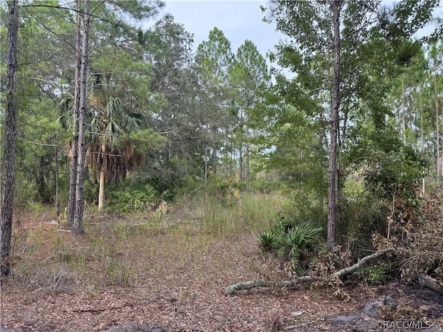 00 SW 103rd Ct, Cedar Key, FL 32625