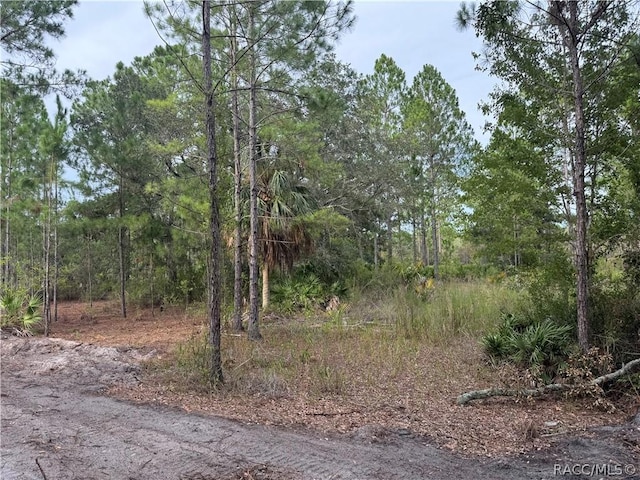 00 SW 103rd Ct, Cedar Key, FL 32625