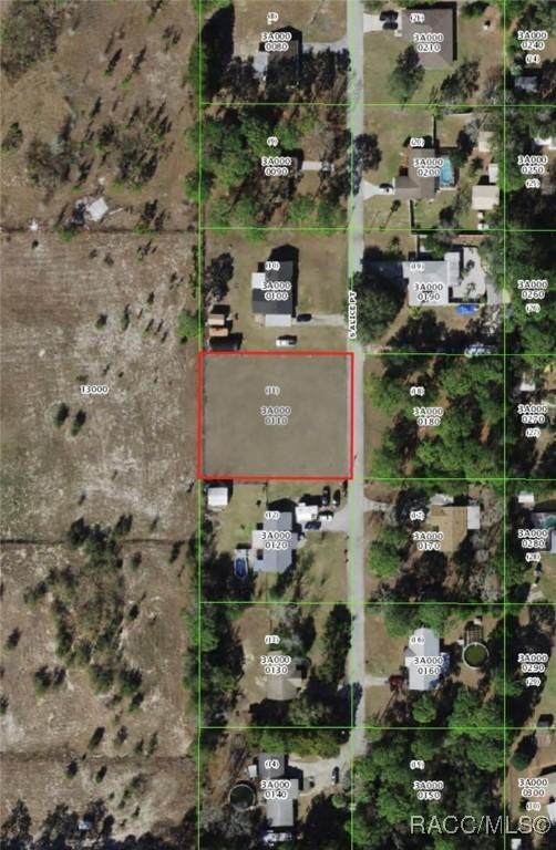 5316 S Alice Pt, Homosassa, FL 34446 - photo 1