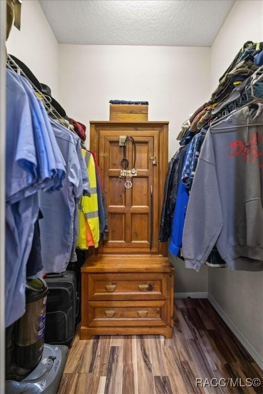 walk in closet featuring wood finished floors