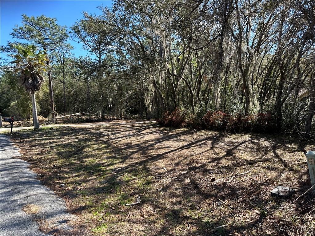 3803 W Keene Ln, Dunnellon, FL 34433 - photo 1