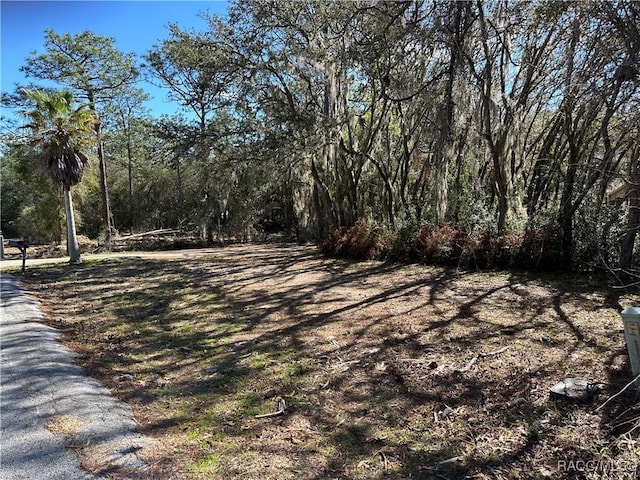 3803 W Keene Ln, Dunnellon, FL 34433 - photo 1