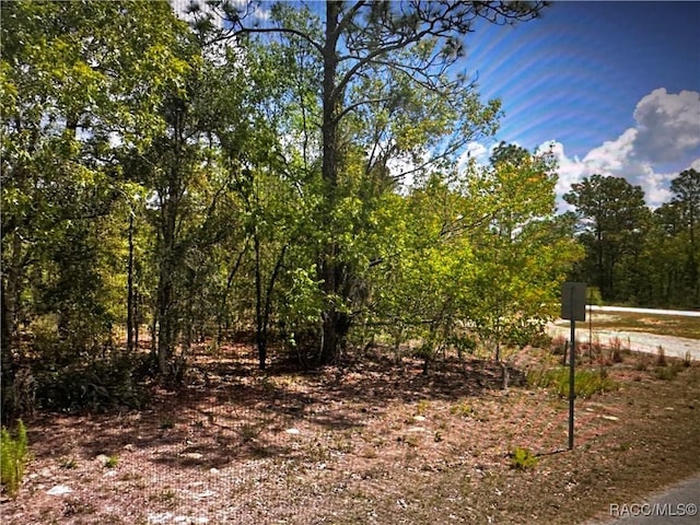 2363 E Cambridge Ln, Inverness, FL 34453