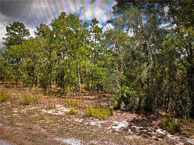 2363 E Cambridge Ln, Inverness, FL 34453