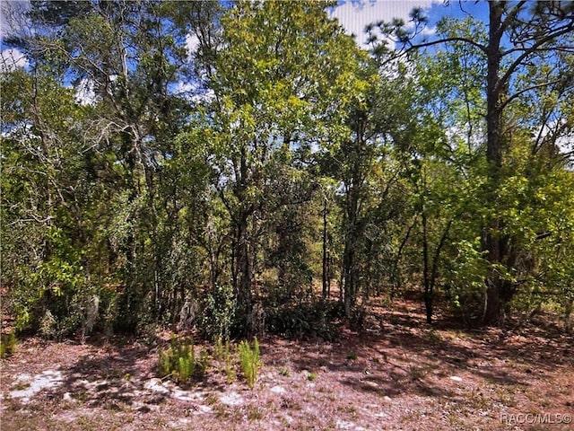 2363 E Cambridge Ln, Inverness, FL 34453