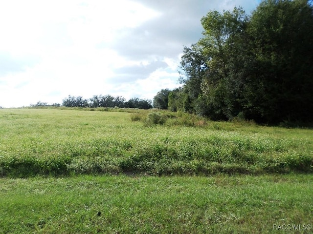 Listing photo 3 for LOT3 SW 199th Ct, Dunnellon FL 34431