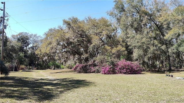 9193 S Great Oaks Dr, Floral City, FL 34436 - photo 48