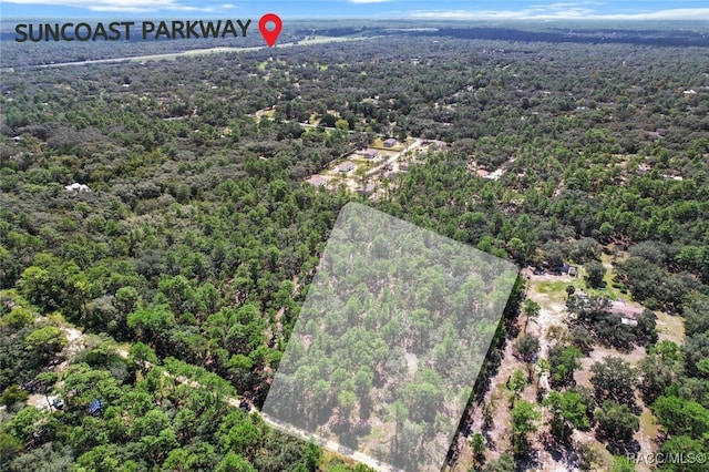 4716 W Herman Ct, Homosassa FL, 34446 land for sale