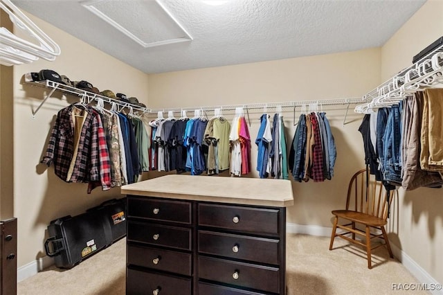 spacious closet with light carpet