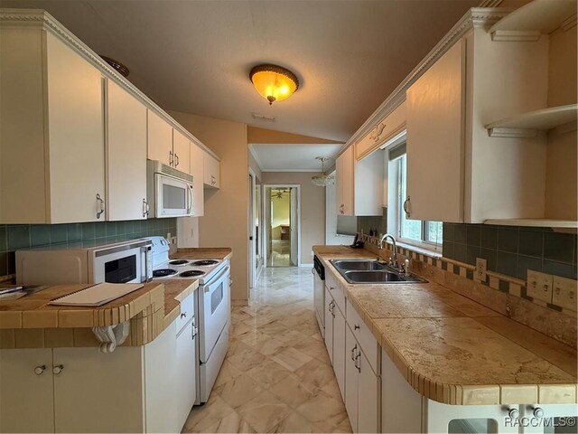 10286 SW 61st Terrace Rd, Ocala, FL 34476 - photo 3