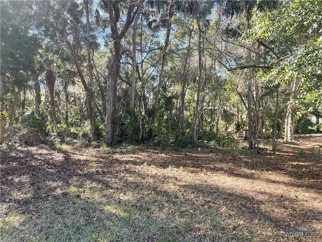 11850 W Fisherman Ln, Homosassa FL, 34448 land for sale