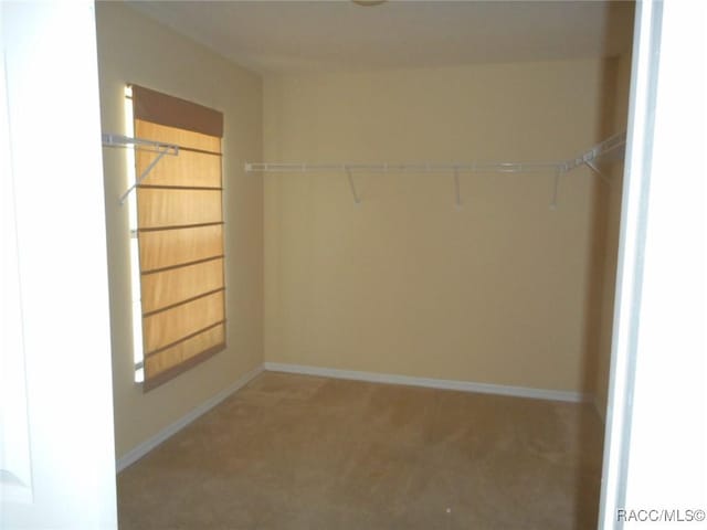 4281 SW 121st Ter, Ocala, FL 34481 - photo 14
