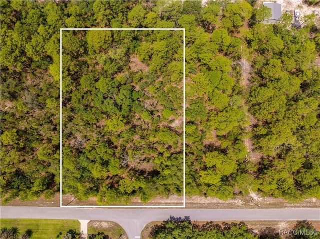 16295 Mount Sparrow Rd, Brooksville, FL 34614
