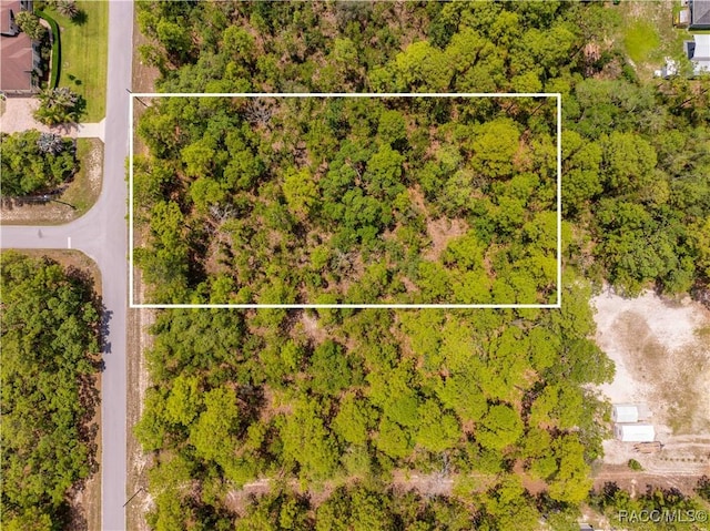 16295 Mount Sparrow Rd, Brooksville, FL 34614