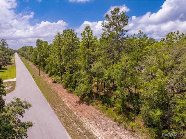 16295 Mount Sparrow Rd, Brooksville, FL 34614