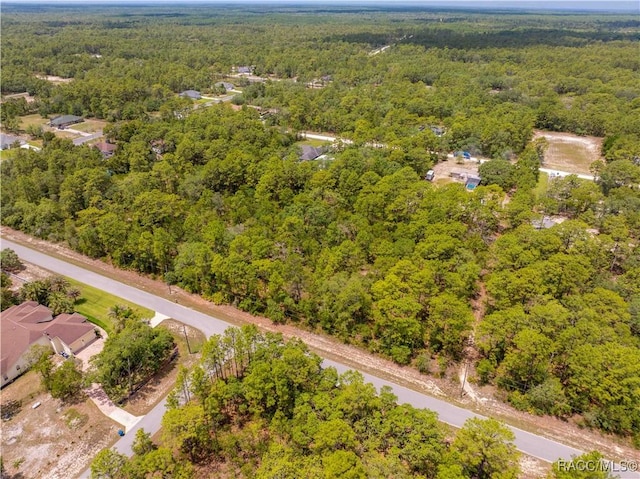 16295 Mount Sparrow Rd, Brooksville, FL 34614