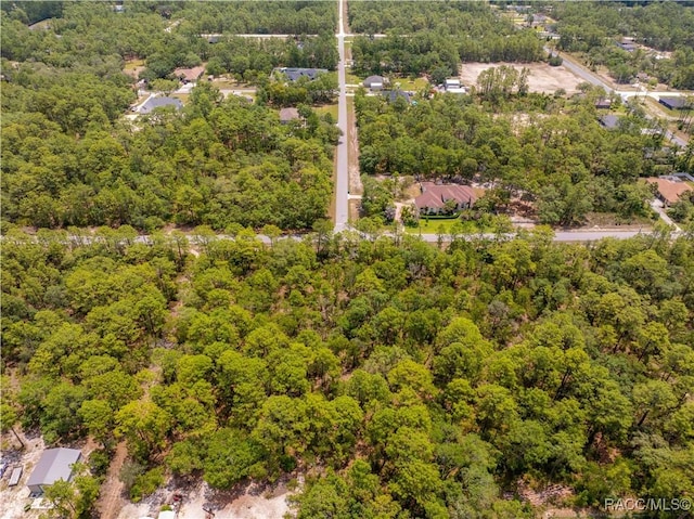 16295 Mount Sparrow Rd, Brooksville, FL 34614