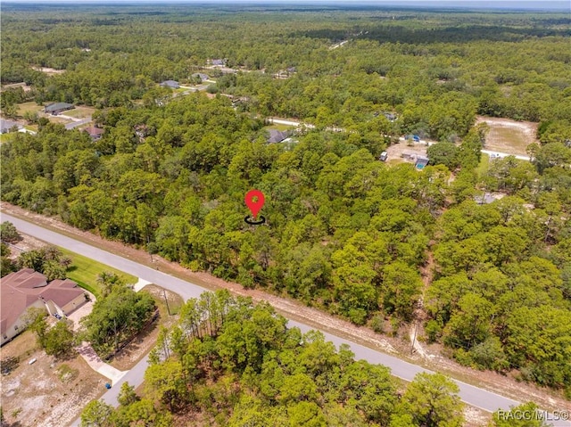 16295 Mount Sparrow Rd, Brooksville, FL 34614