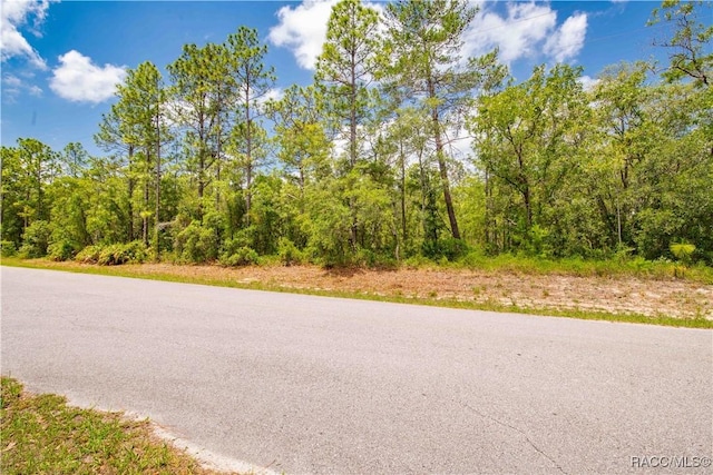 16295 Mount Sparrow Rd, Brooksville, FL 34614