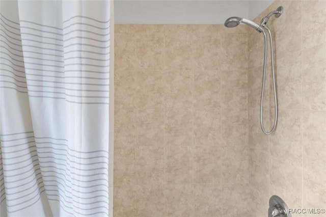 12 Colubrina Ct, Homosassa, FL 34446 - bathroom with curtained shower