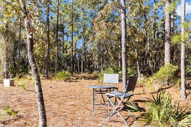 12 Colubrina Ct, Homosassa, FL 34446 - view of home's community