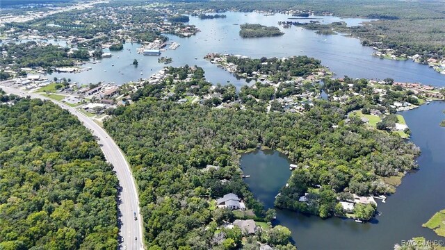750 NW Snug Harbor Rd, Crystal River, FL 34428 - bird's eye view of a large body of water