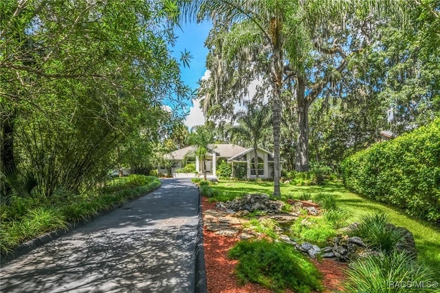 750 NW Snug Harbor Rd, Crystal River, FL 34428 - view of surrounding community