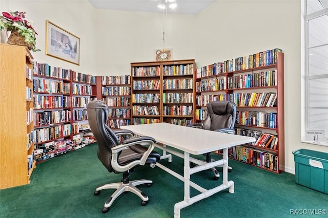 carpeted office with bookshelves