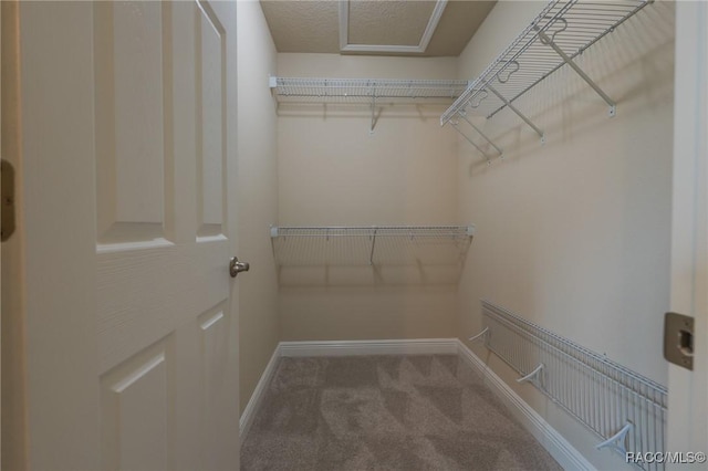 7792 N Susan Ave, Dunnellon, FL 34433 - spacious closet with carpet flooring