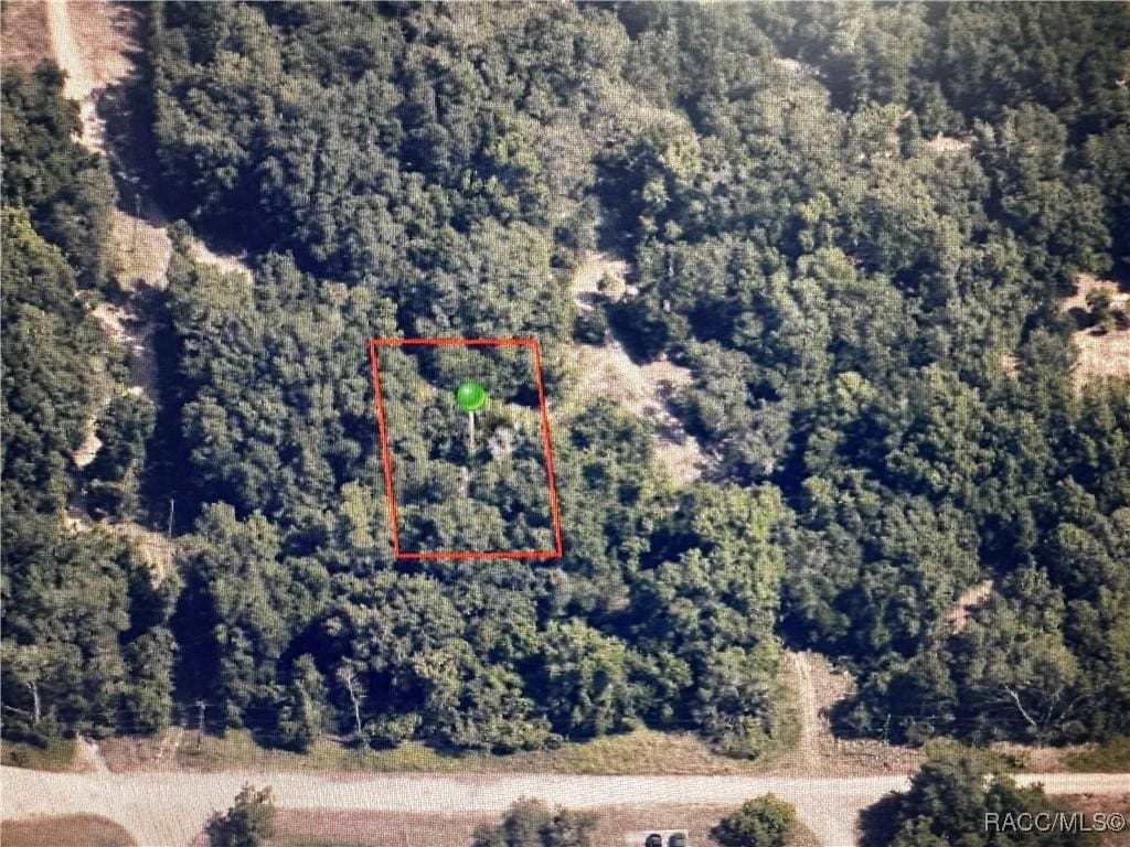 2607 Garfield St, Inverness, FL 34453 - photo 2