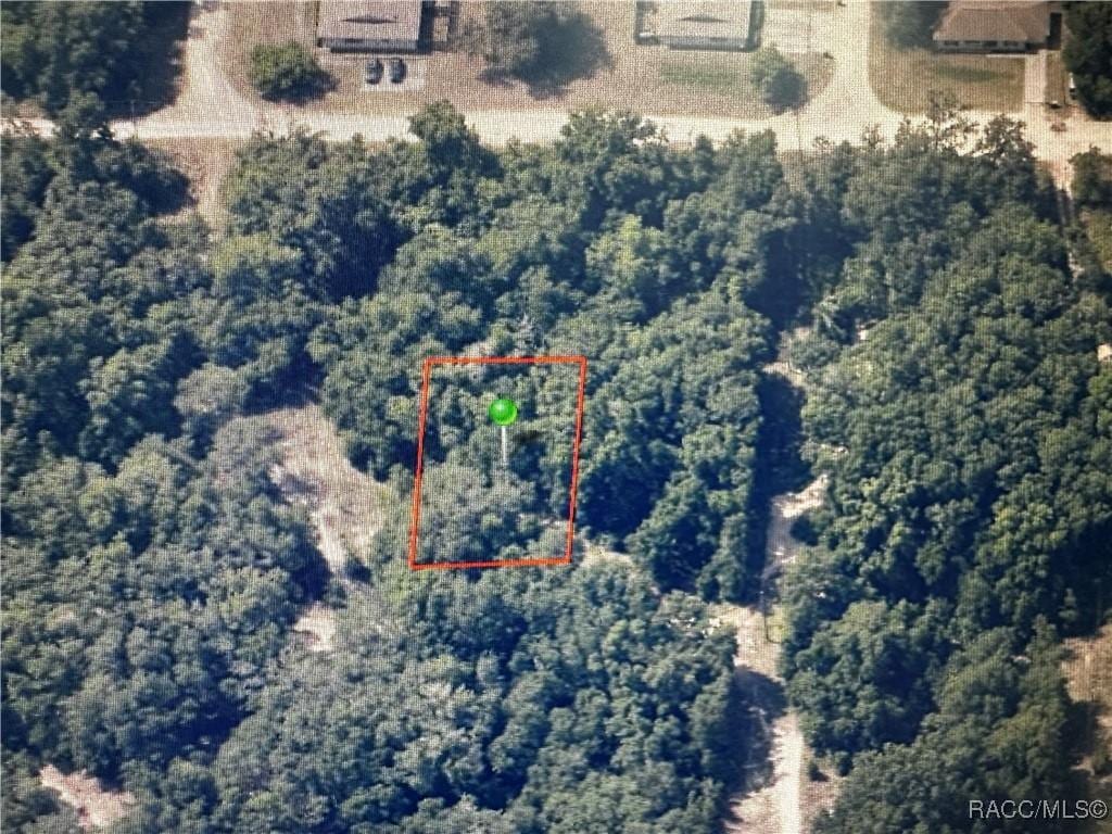 2607 Garfield St, Inverness, FL 34453 - photo 3