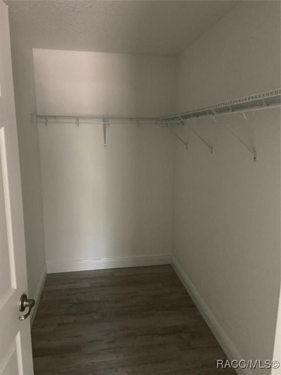 walk in closet with dark hardwood / wood-style flooring